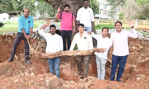 विकास के नाम पर पेड़ों को काटने की जरूरत नहीं: कर्नाटक हितरक्षण वेदिके