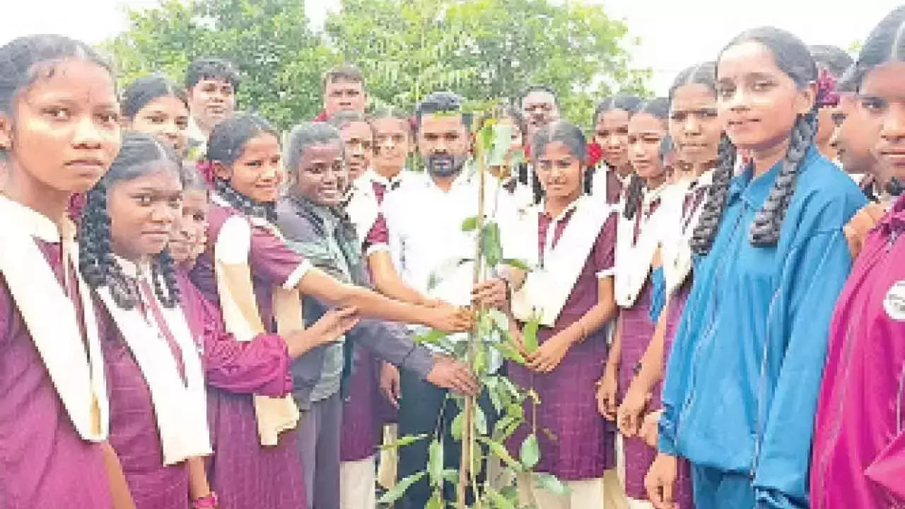 प्रदूषण कम करने के लिए पेड़ महत्वपूर्ण हैं: बोज्जू पटेल