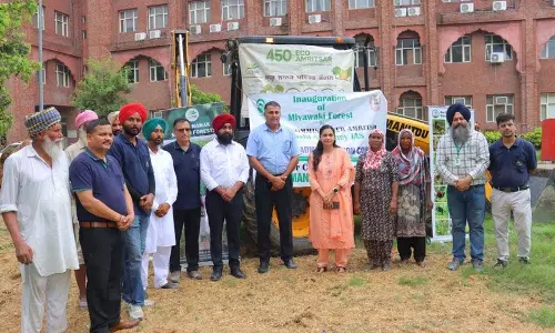 Amritsar: मानसून मिशन, जिला प्रशासन 3 लाख पौधे लगाने के लिए तैयार Amritsar: मानसून मिशन, जिला प्रशासन 3 लाख पौधे लगाने के लिए तैयार