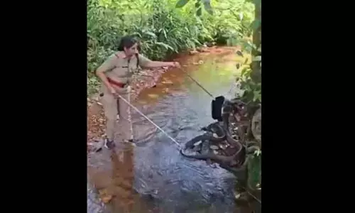 Kerala : किंग कोबरा रेस्क्यू अधिकारी का बयान, ‘यह मेरा सपना था’