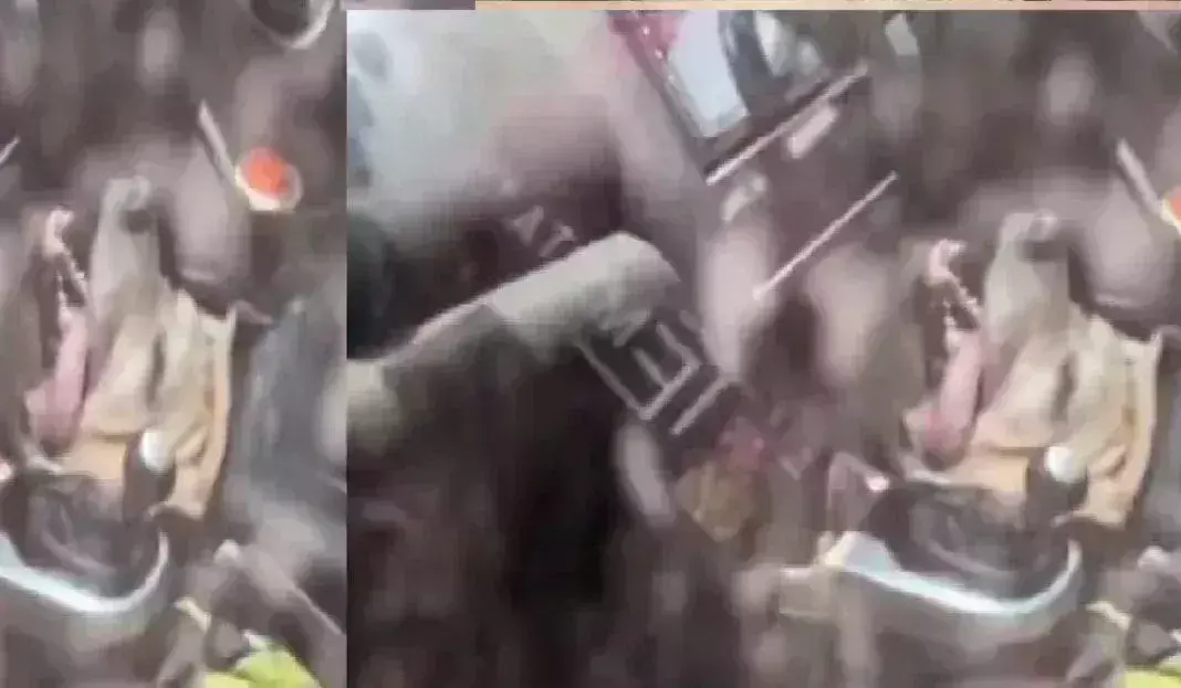 Mathura: कार में बंद बेजुबान की मौत, दर्शन करने गए दंपति पर सवाल Mathura: कार में बंद बेजुबान की मौत, दर्शन करने गए दंपति पर सवाल