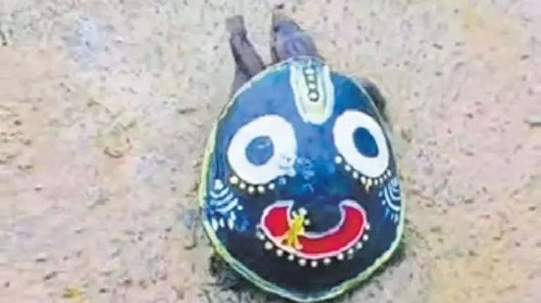 Bargarh में कछुए के खोल पर भगवान जगन्नाथ की तस्वीर बनाने के आरोप में दो लोग गिरफ्तार Bargarh में कछुए के खोल पर भगवान जगन्नाथ की तस्वीर बनाने के आरोप में दो लोग गिरफ्तार