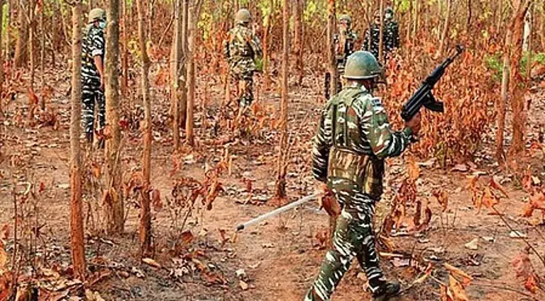 Odisha के नुआपाड़ा में माओवादी शिविर का भंडाफोड़, विस्फोटक बरामद Odisha के नुआपाड़ा में माओवादी शिविर का भंडाफोड़, विस्फोटक बरामद