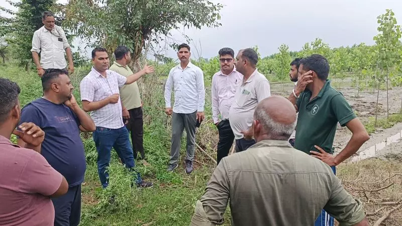 Yamunanagar के गांव में जंगली हाथियों ने फसलों पर कहर बरपाया Yamunanagar के गांव में जंगली हाथियों ने फसलों पर कहर बरपाया