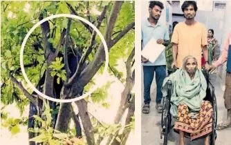 नदी में बहकर आई बुजुर्ग महिला 26 घंटे तक पेड़ से चिपकी रही नदी में बहकर आई बुजुर्ग महिला 26 घंटे तक पेड़ से चिपकी रही