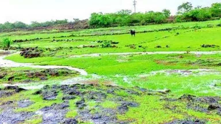 Loliem के स्थानीय लोग भगवती पठार पर फिल्म सिटी परियोजना के खिलाफ उठ खड़े हुए Loliem के स्थानीय लोग भगवती पठार पर फिल्म सिटी परियोजना के खिलाफ उठ खड़े हुए