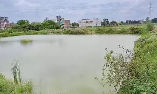 बिहार : प्रधानमंत्री मत्स्य संपदा योजना से शेखपुरा की महिलाएं बन रहीं आत्मनिर्भर बिहार : प्रधानमंत्री मत्स्य संपदा योजना से शेखपुरा की महिलाएं बन रहीं आत्मनिर्भर