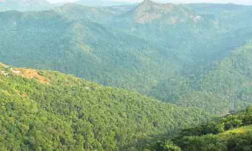 Karnataka: येत्तिनाहोल परियोजना को झटका, वन पैनल ने अतिरिक्त भूमि की मंजूरी खारिज की Karnataka: येत्तिनाहोल परियोजना को झटका, वन पैनल ने अतिरिक्त भूमि की मंजूरी खारिज की
