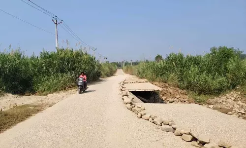 Punjab: धुरी क्षेत्र में 12 नई संपर्क सड़कों को मंजूरी