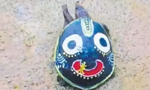 Bargarh में कछुए के खोल पर भगवान जगन्नाथ की तस्वीर बनाने के आरोप में दो लोग गिरफ्तार
