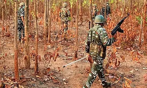 Odisha के नुआपाड़ा में माओवादी शिविर का भंडाफोड़, विस्फोटक बरामद Odisha के नुआपाड़ा में माओवादी शिविर का भंडाफोड़, विस्फोटक बरामद