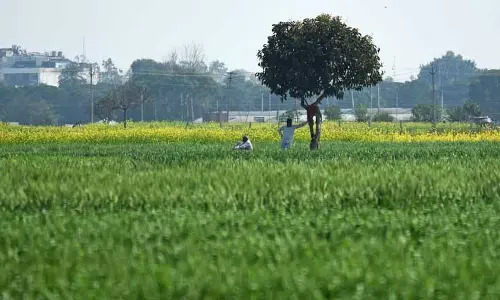 Punjab: भूमि पूलिंग नीति से किसान संघों का पुनरुत्थान हो सकता है Punjab: भूमि पूलिंग नीति से किसान संघों का पुनरुत्थान हो सकता है