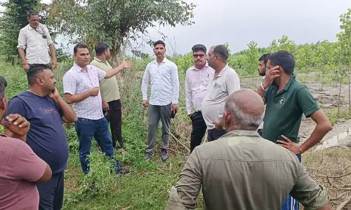 Yamunanagar के गांव में जंगली हाथियों ने फसलों पर कहर बरपाया Yamunanagar के गांव में जंगली हाथियों ने फसलों पर कहर बरपाया