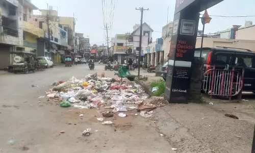 Yamunanagar की सड़कों पर मवेशी चारे के बदले घरेलू कचरा फेंक रहे Yamunanagar की सड़कों पर मवेशी चारे के बदले घरेलू कचरा फेंक रहे