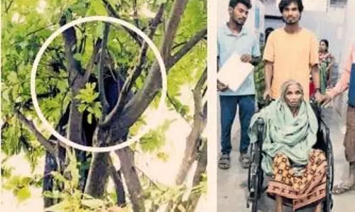 नदी में बहकर आई बुजुर्ग महिला 26 घंटे तक पेड़ से चिपकी रही