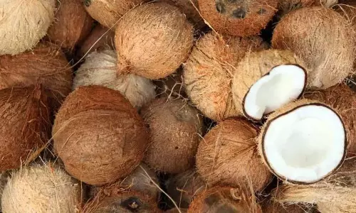 Kerala : नारियल की ऊंची कीमतें, मंदिर के चढ़ावे पर संकट