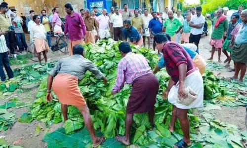 पान के पत्तों की कोई कीमत नहीं; डीजल के अलावा किसानों का विरोध प्रदर्शन