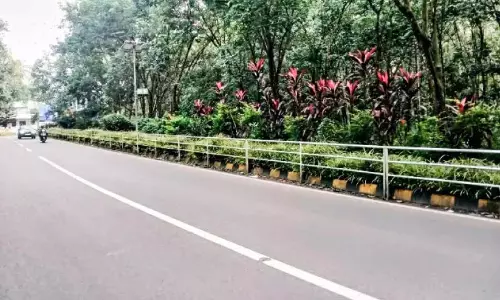 Kerala : कंजिरापल्ली-एराट्टुपेट्टा सड़क को बगीचे में बदला गया Kerala : कंजिरापल्ली-एराट्टुपेट्टा सड़क को बगीचे में बदला गया