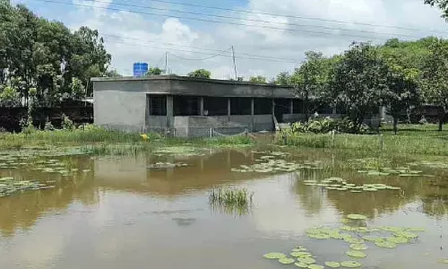 Dinajpur में दो साल पहले स्कूल भवन बना, लेकिन पानी के कारण रास्ता अवरुद्ध