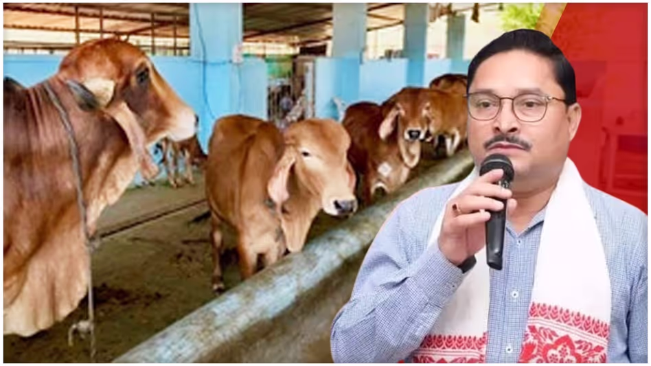 Assam भाजपा अध्यक्ष को बेची गईं, जो भुगतान भी नहीं कर पाए Assam भाजपा अध्यक्ष को बेची गईं, जो भुगतान भी नहीं कर पाए
