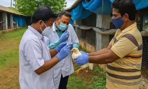 Puri : देलांग में बर्ड फ्लू का खतरा, 3,000 से अधिक मुर्गियां हुई मृत Puri : देलांग में बर्ड फ्लू का खतरा, 3,000 से अधिक मुर्गियां हुई मृत