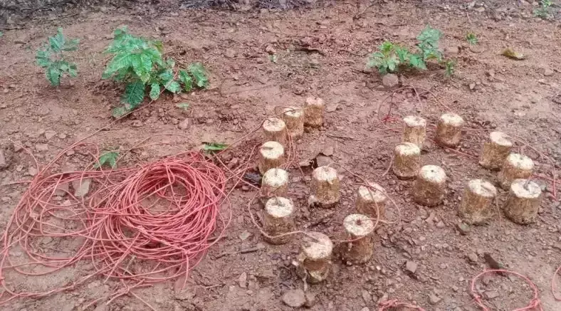 Chaibasa: नक्सलियों के खिलाफ सुरक्षाबलों की कार्रवाई, 18 IED बरामद Chaibasa: नक्सलियों के खिलाफ सुरक्षाबलों की कार्रवाई, 18 IED बरामद