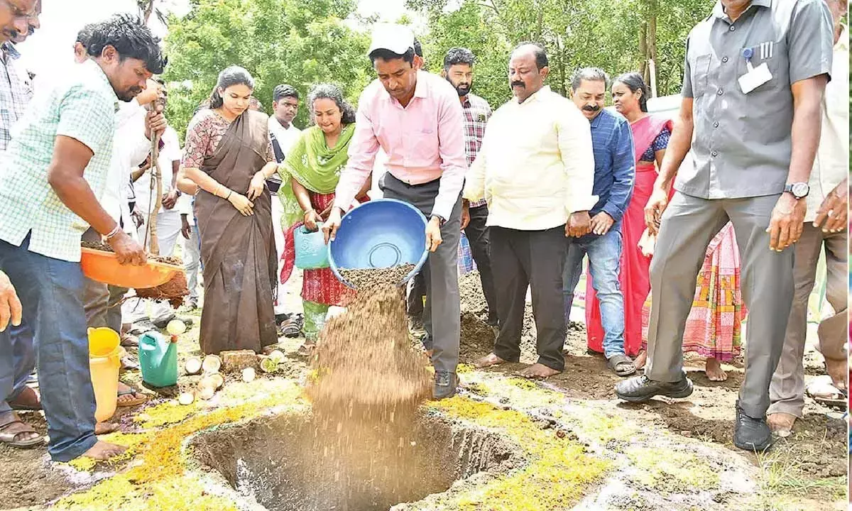 Andhra: किसानों को निःशुल्क बागवानी वृक्षारोपण का लाभ मिलेगा