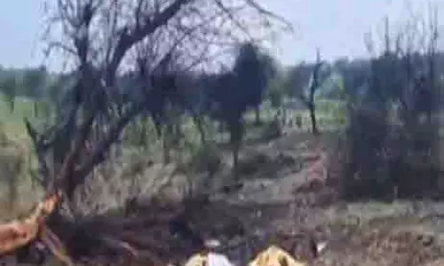 राजस्थान के चुरू में भारतीय वायुसेना का जगुआर लड़ाकू विमान दुर्घटनाग्रस्त, दोनों पायलटों की मौत राजस्थान के चुरू में भारतीय वायुसेना का जगुआर लड़ाकू विमान दुर्घटनाग्रस्त, दोनों पायलटों की मौत