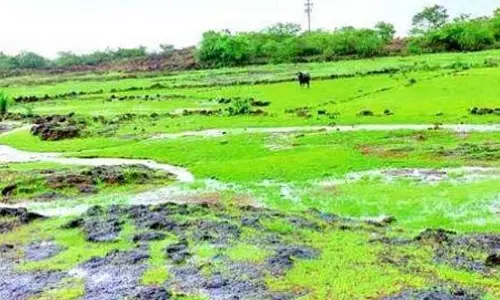 Loliem के स्थानीय लोग भगवती पठार पर फिल्म सिटी परियोजना के खिलाफ उठ खड़े हुए
