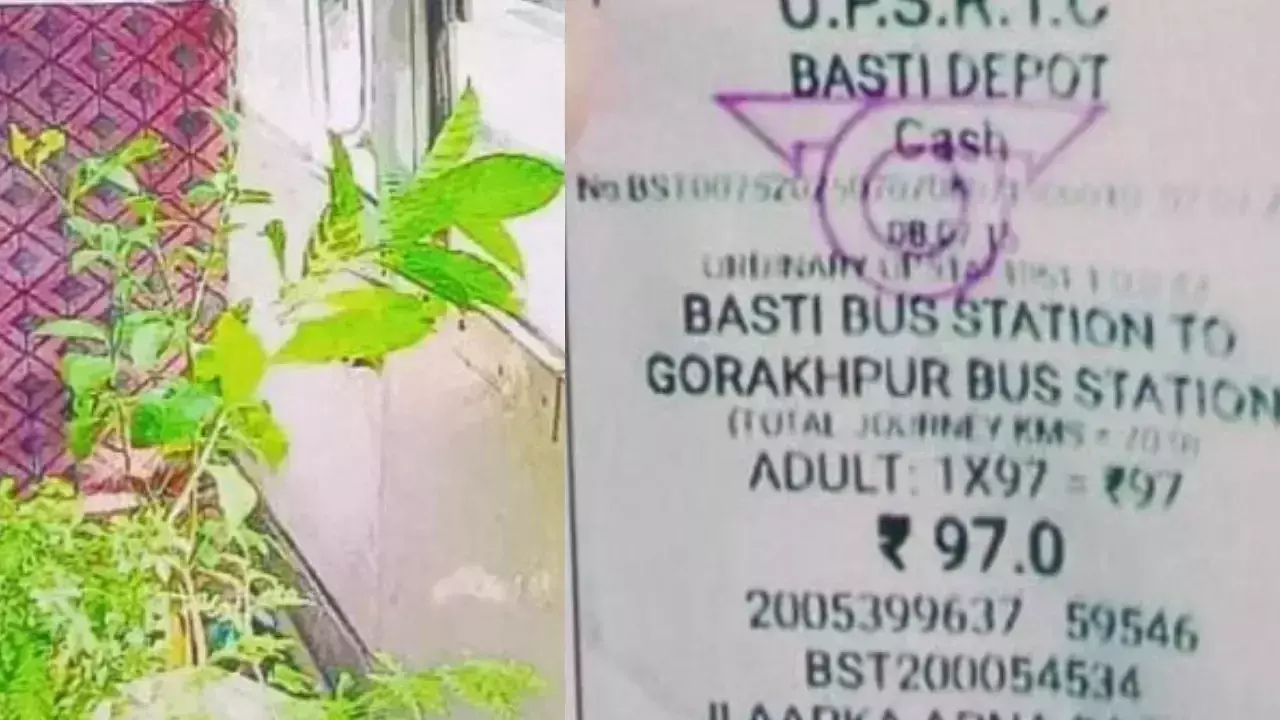 Gorakhpur: बस में महिला के पौधों पर भी टिकट जारी, कंडक्टर की मनमानी