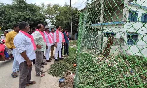 स्कूल में जहरीले सांप घुसे...छात्र दहशत में