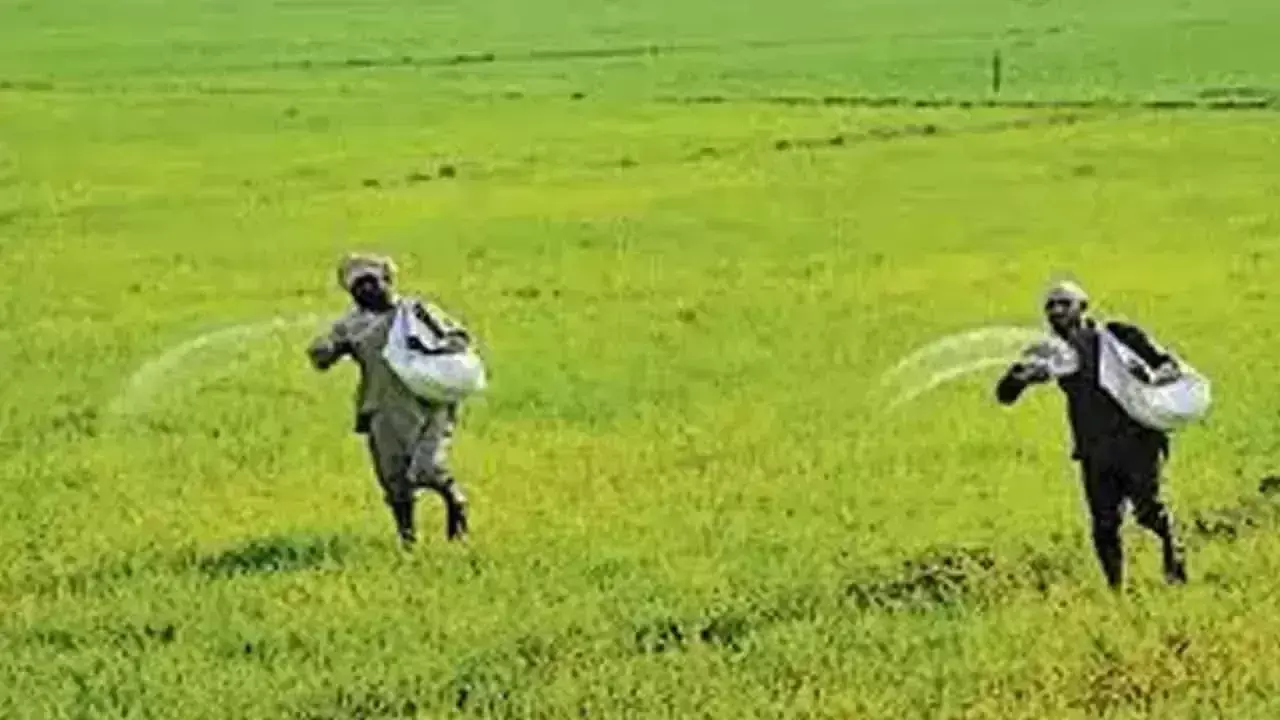 Bhiwani: डीएपी की आपूर्ति में गड़बड़ी, खरीफ बुवाई प्रभावित