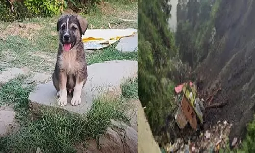 पांच महीने के Rocky ने भूस्खलन से बचाई 63 लोगों की जान