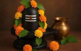 धर्म: सावन में भोले बाबा को चढ़ाएं ये खास चीज, पितरों के प्रसन्न होते ही खुल जाएंगे किस्मत के ताले धर्म: सावन में भोले बाबा को चढ़ाएं ये खास चीज, पितरों के प्रसन्न होते ही खुल जाएंगे किस्मत के ताले