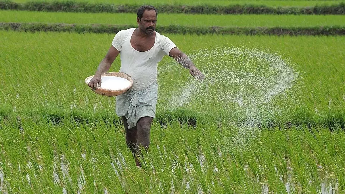 Andhra को खरीफ के लिए पूरा उर्वरक कोटा मिला Andhra को खरीफ के लिए पूरा उर्वरक कोटा मिला