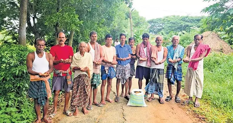 Odisha के किसान ‘नकली’ बीजों के अंकुरित न होने से नाराज Odisha के किसान ‘नकली’ बीजों के अंकुरित न होने से नाराज