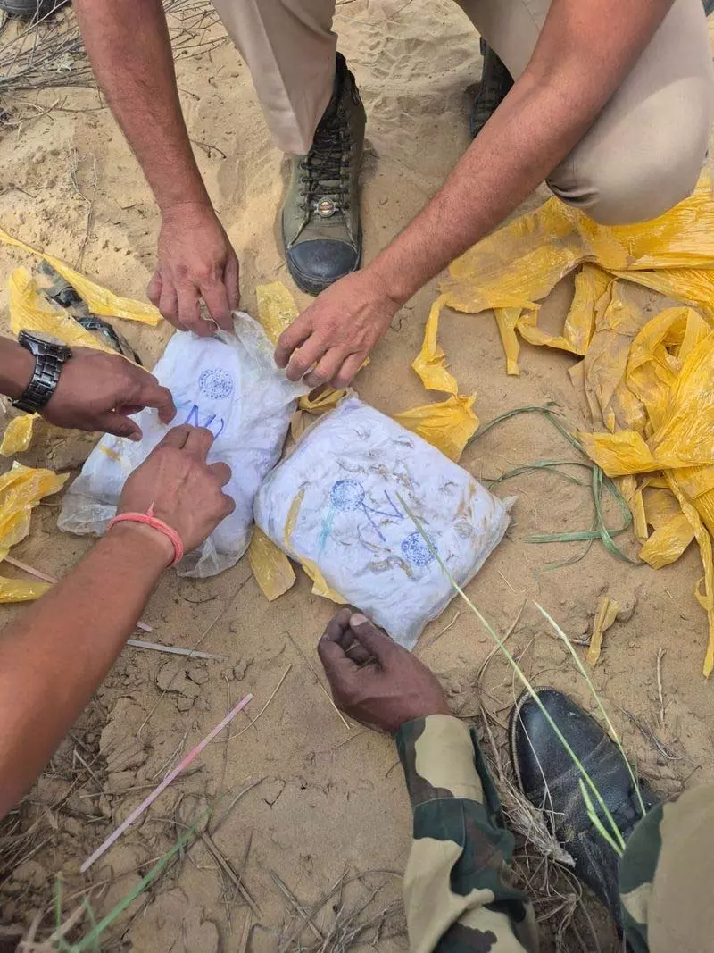 Punjab के सीमावर्ती इलाकों में नौकरियाँ कम, परिवार नशे के चक्र में फंसे Punjab के सीमावर्ती इलाकों में नौकरियाँ कम, परिवार नशे के चक्र में फंसे