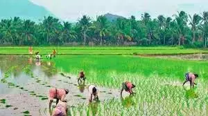 Adilabad के किसानों ने सब्सिडी वाले यूरिया की तस्करी के खिलाफ विरोध प्रदर्शन किया Adilabad के किसानों ने सब्सिडी वाले यूरिया की तस्करी के खिलाफ विरोध प्रदर्शन किया