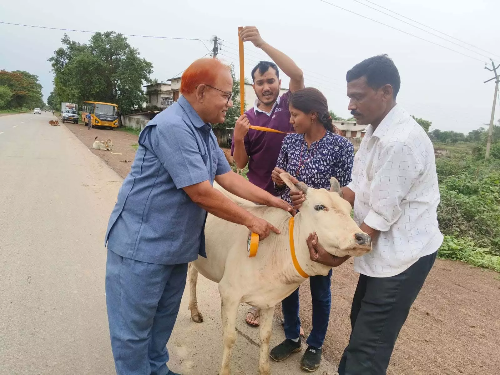 सडक दुघर्टना रोकने के लिए पशुओं में रेडियम पट्टी लगाने अभियान जारी सडक दुघर्टना रोकने के लिए पशुओं में रेडियम पट्टी लगाने अभियान जारी