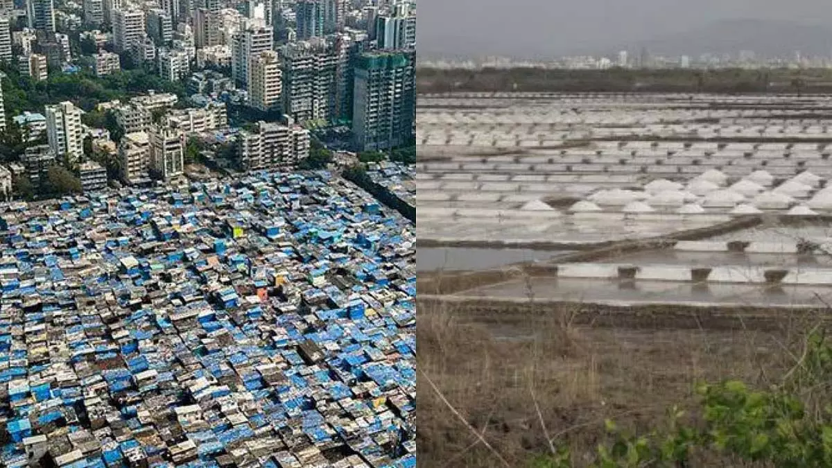 जनहित याचिका खारिज, बॉम्बे HC ने पीएपी पुनर्वास का हवाला दिया जनहित याचिका खारिज, बॉम्बे HC ने पीएपी पुनर्वास का हवाला दिया