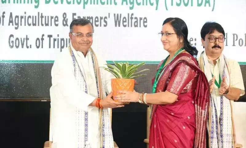 Tripura का नया कदम: ‘खेत से खाने तक’ जैविक खेती को बढ़ावा Tripura का नया कदम: ‘खेत से खाने तक’ जैविक खेती को बढ़ावा