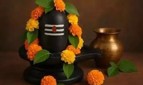 धर्म: सावन में भोले बाबा को चढ़ाएं ये खास चीज, पितरों के प्रसन्न होते ही खुल जाएंगे किस्मत के ताले धर्म: सावन में भोले बाबा को चढ़ाएं ये खास चीज, पितरों के प्रसन्न होते ही खुल जाएंगे किस्मत के ताले