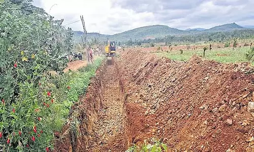 Tumkur : 80,000 पौधे लगाने के लिए बड़े पैमाने पर अभियान शुरू किया