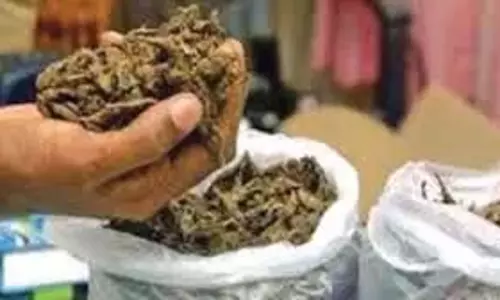 Anakapalli पुलिस ने 42 लाख मूल्य का 840 किलोग्राम गांजा जब्त किया Anakapalli पुलिस ने 42 लाख मूल्य का 840 किलोग्राम गांजा जब्त किया