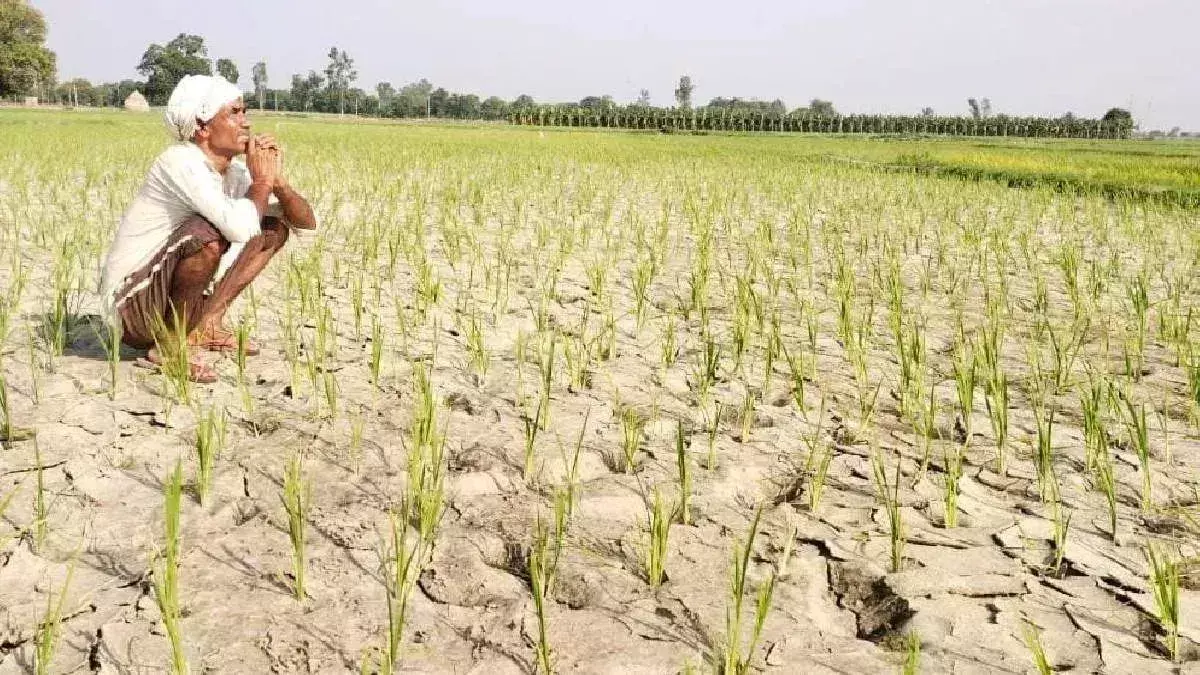 Mirzapur: पानी की आस में टकटकी लगाए किसान