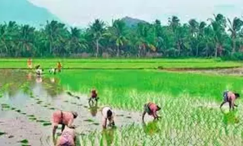 Adilabad के किसानों ने सब्सिडी वाले यूरिया की तस्करी के खिलाफ विरोध प्रदर्शन किया Adilabad के किसानों ने सब्सिडी वाले यूरिया की तस्करी के खिलाफ विरोध प्रदर्शन किया