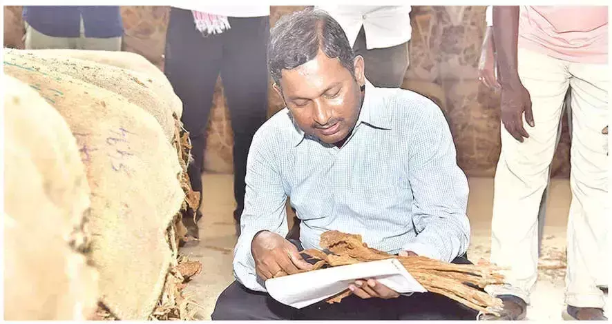 Andhra: तंबाकू की परेशानी मुक्त खरीद सुनिश्चित