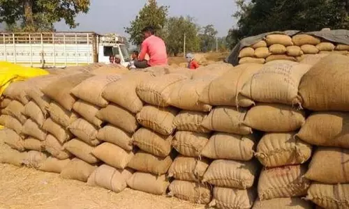 FCI करेगी अधिशेष चावल की खरीद, ओडिशा सरकार ने दी जानकारी FCI करेगी अधिशेष चावल की खरीद, ओडिशा सरकार ने दी जानकारी