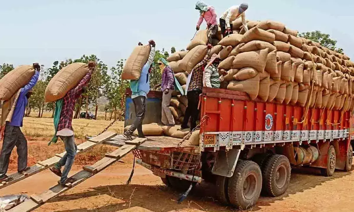 Andhra: धान खरीद का 672 करोड़ रुपये बकाया जारी