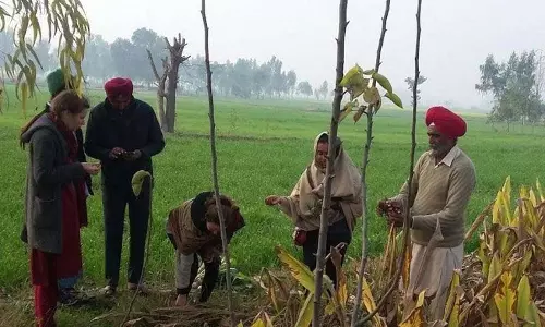 Mehlanwali village के भाई टिकाऊ खेती में अग्रणी